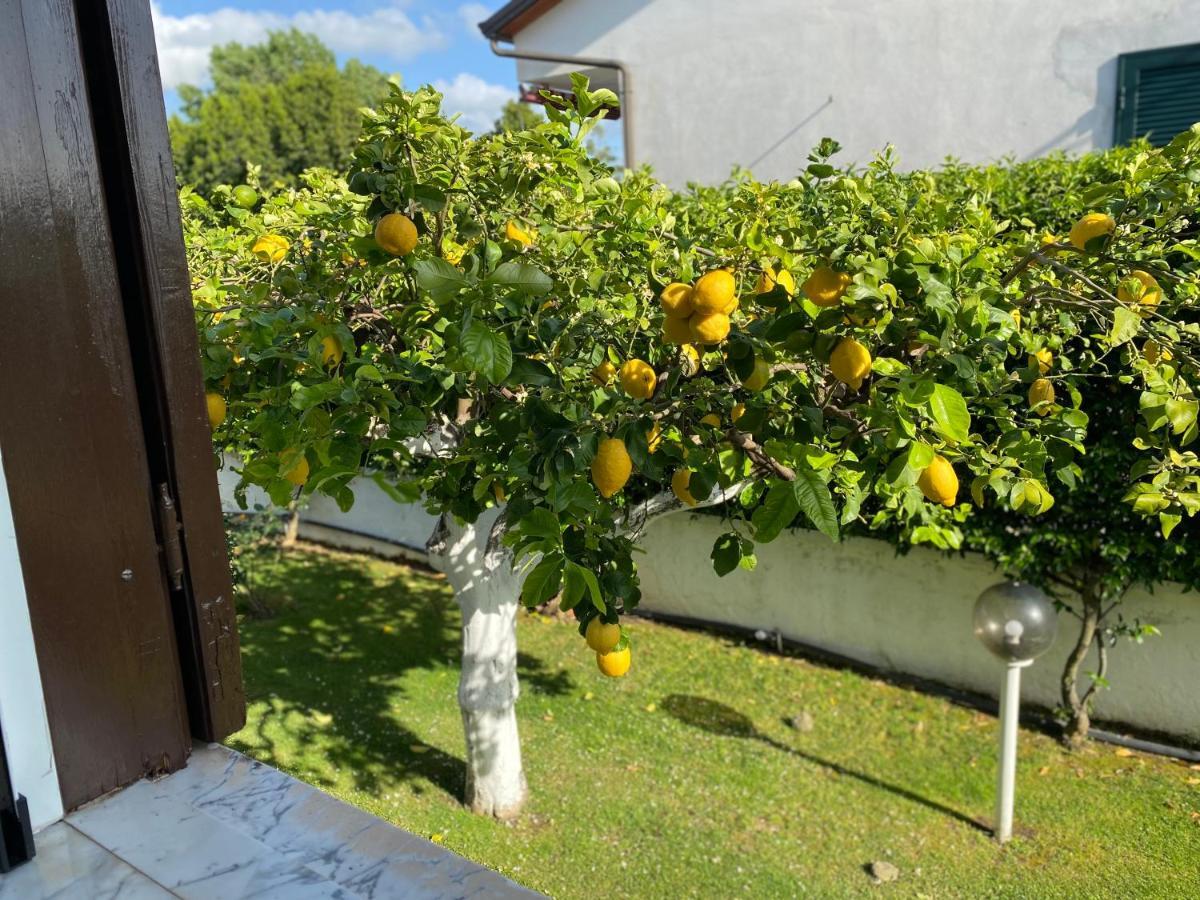 Villa Cecilia Bed And Breakfast チェッロレ エクステリア 写真